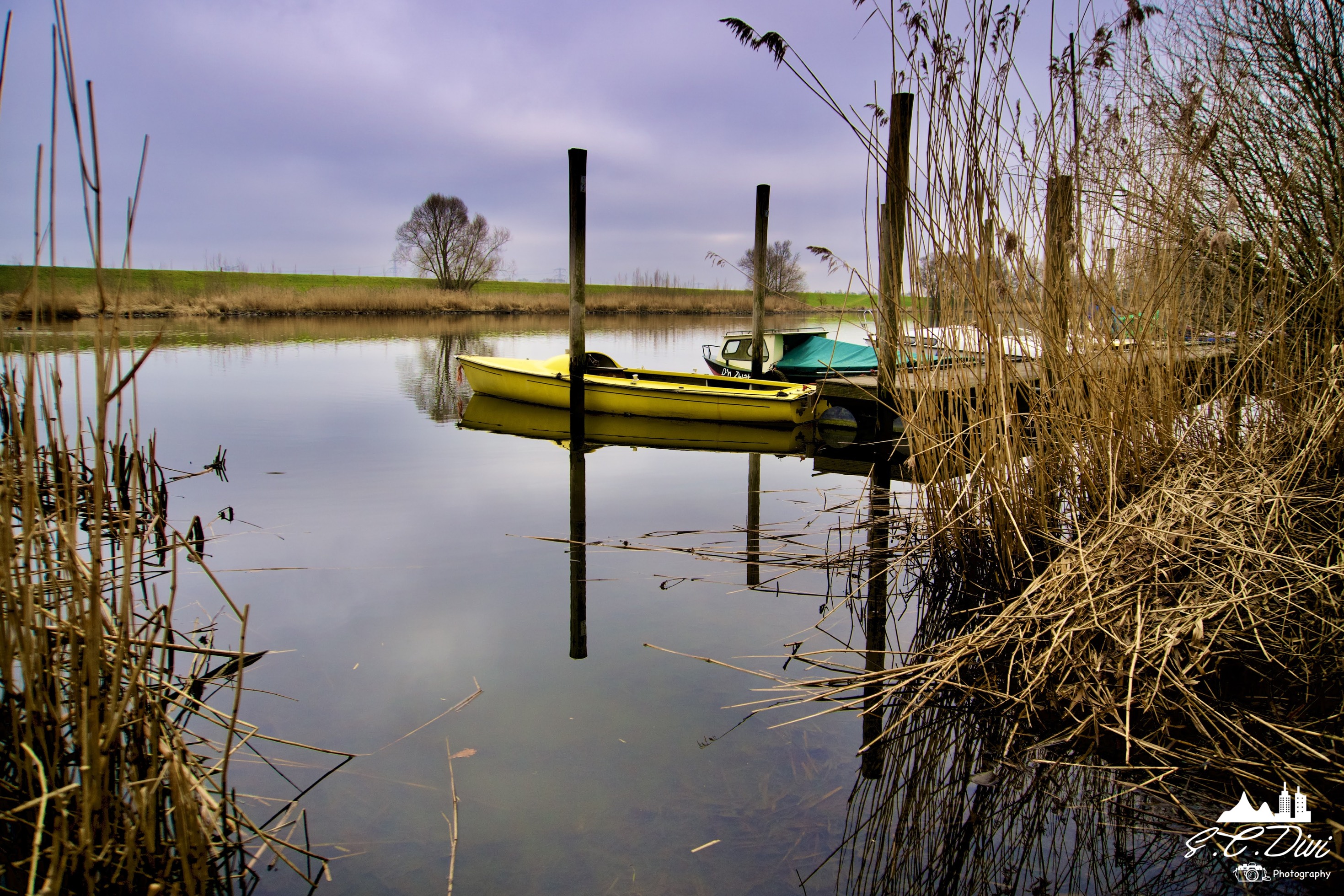 biesbosch