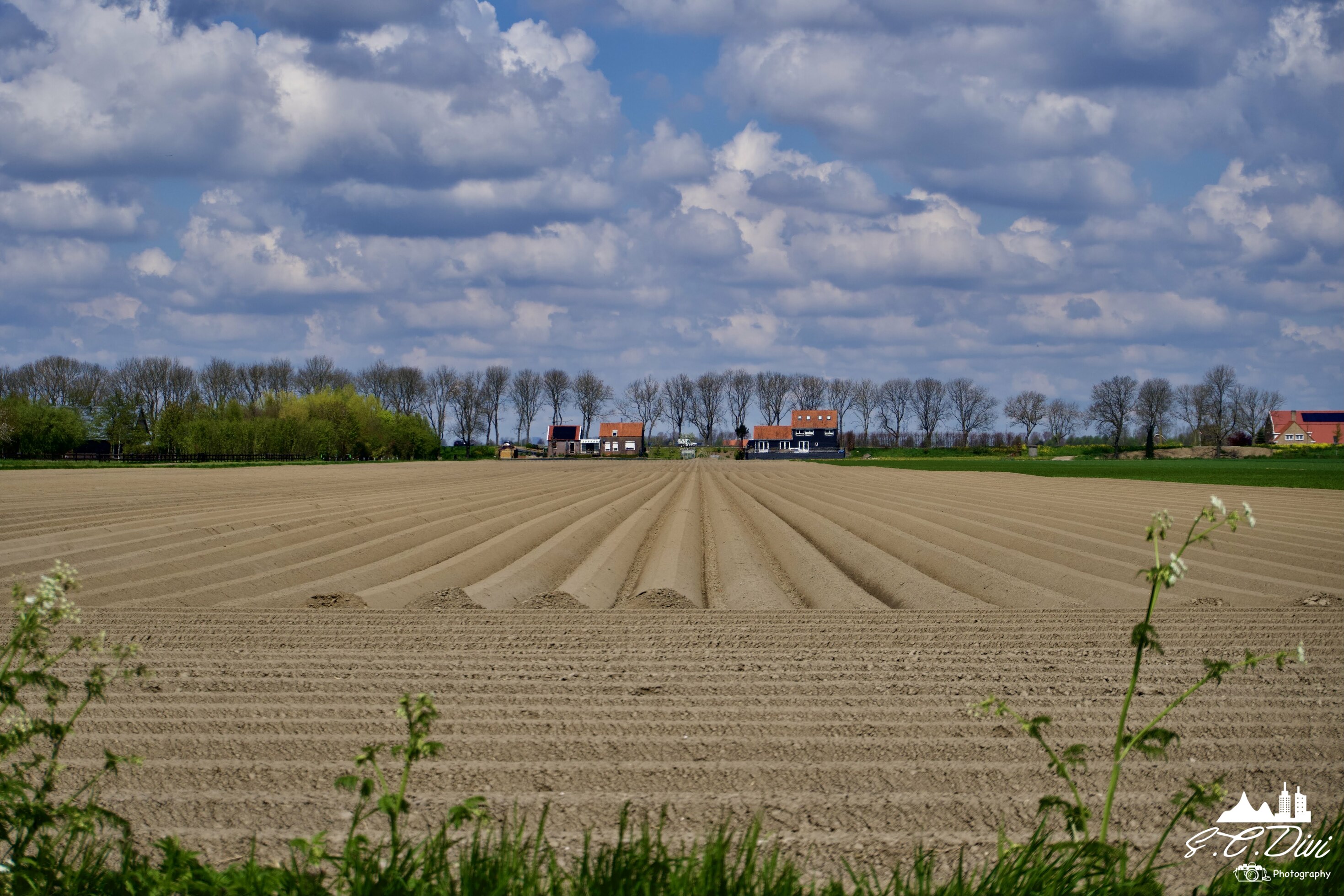 farmland