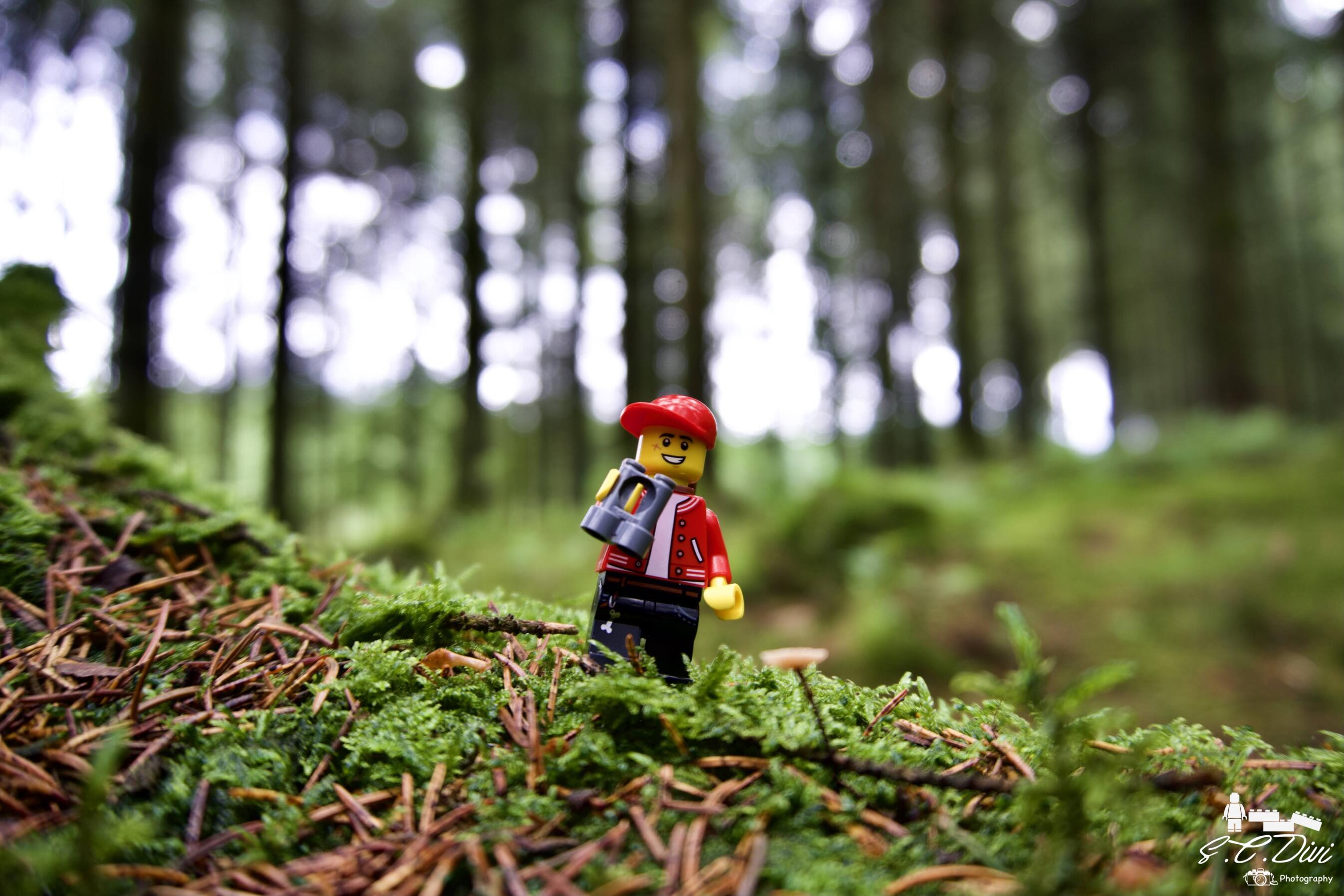 lego_forestexplorer