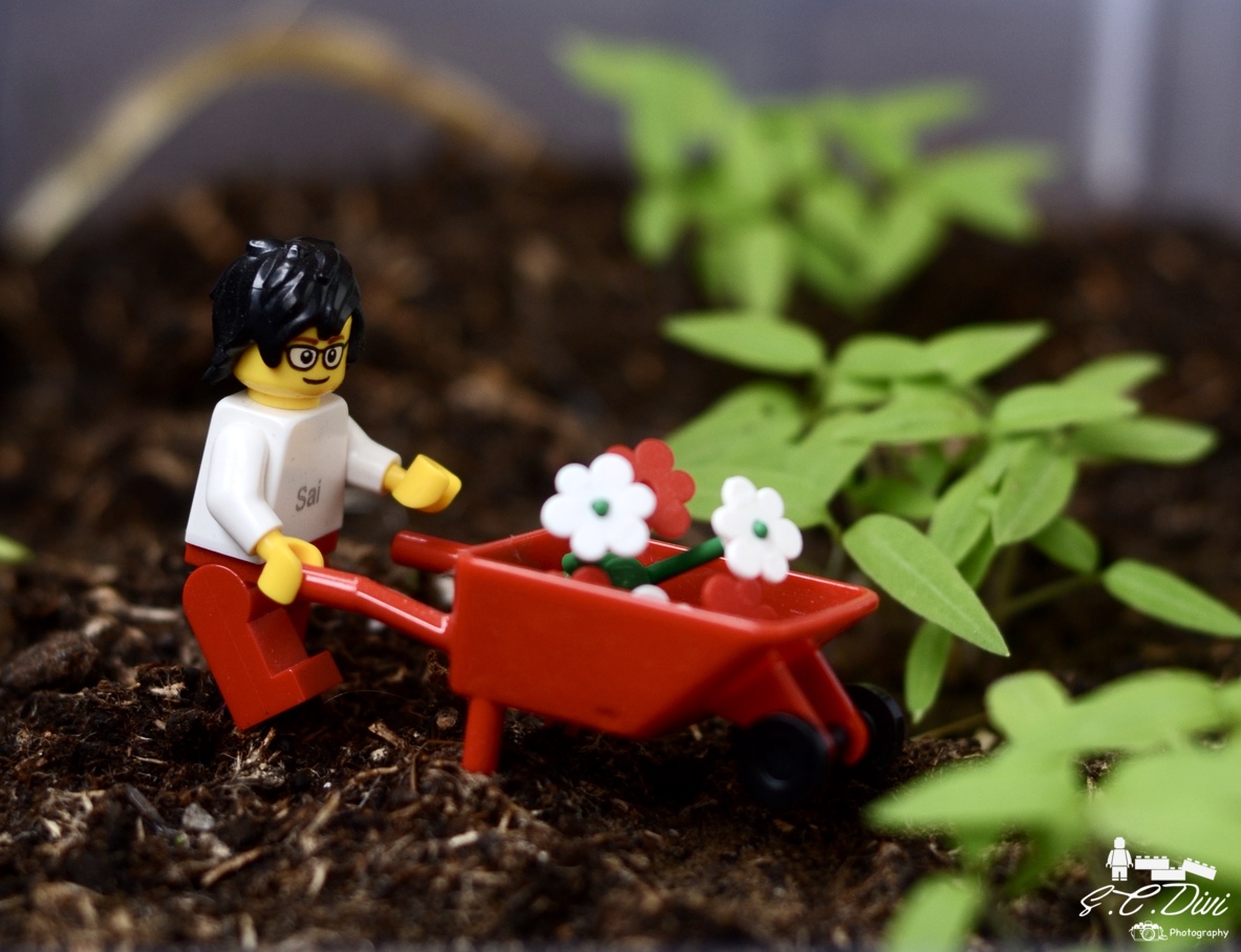 lego_gardening